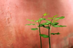 ハイスペ婚活に最適な海外駐在員との出会い方は？