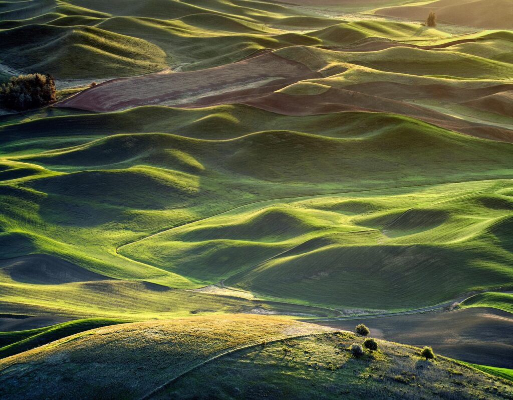 ハイスペ男性との婚活で「いいね」を増やすための秘訣は？