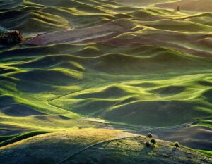 ハイスペ男性との婚活で「いいね」を増やすための秘訣は？