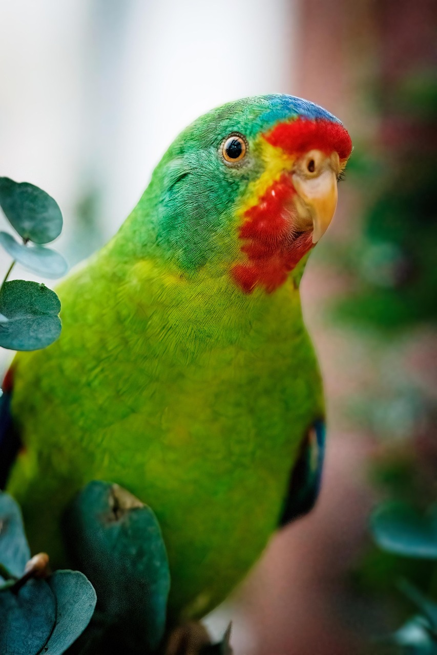 ハイスペ男性との婚活で成婚期間が半年以内に成功する方法は？