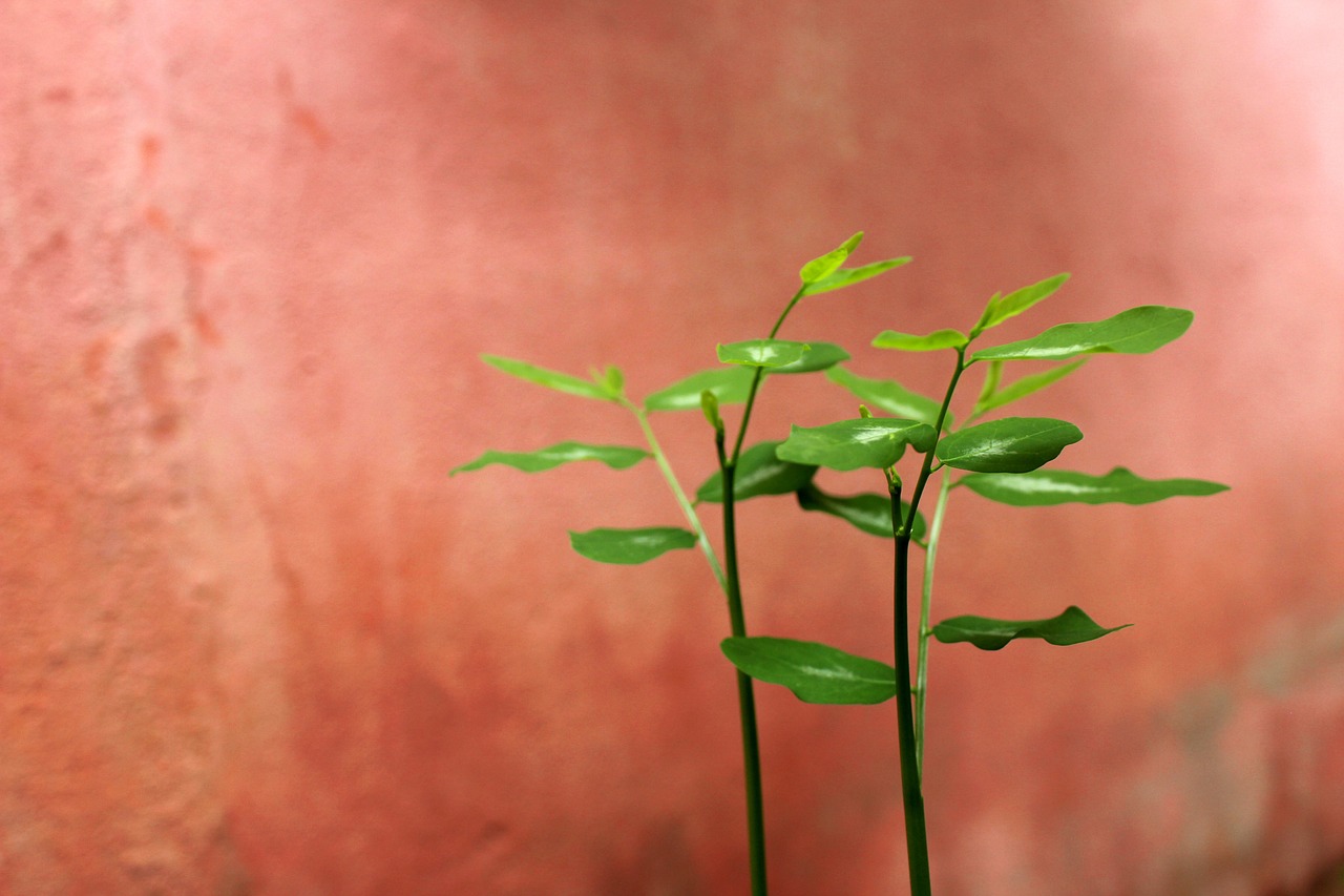 ハイスペ男子の婚活でマリッジブルーを乗り越えるための対策は？