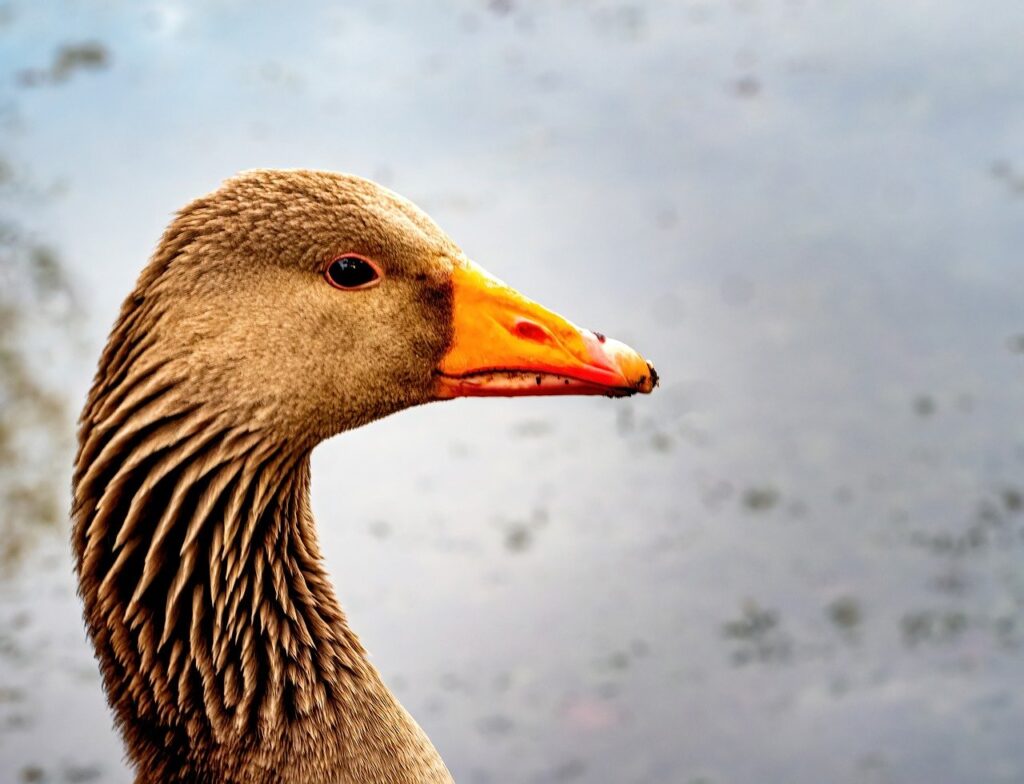 ハイスペ男性向けの婚活プロフィールの例文は？