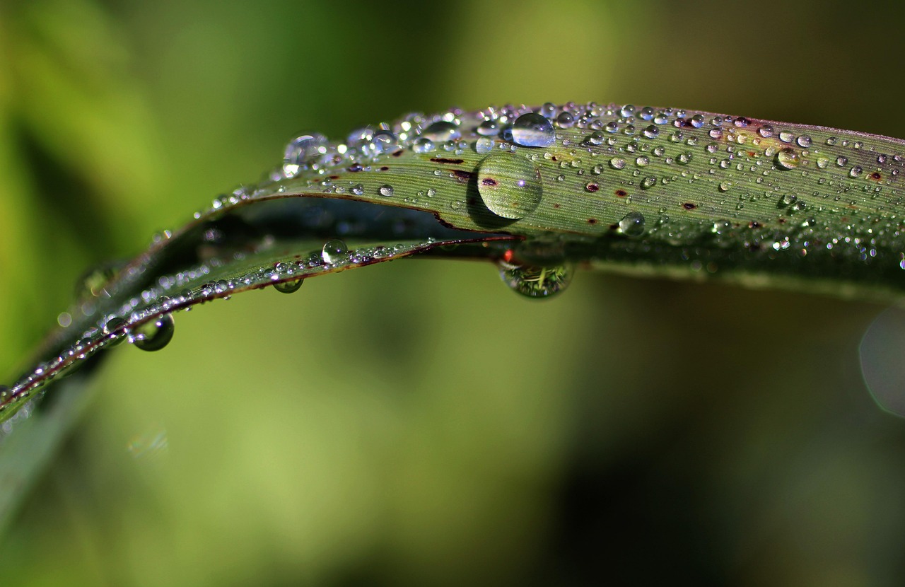 ハイスペ男性を落とすための効果的な方法は？