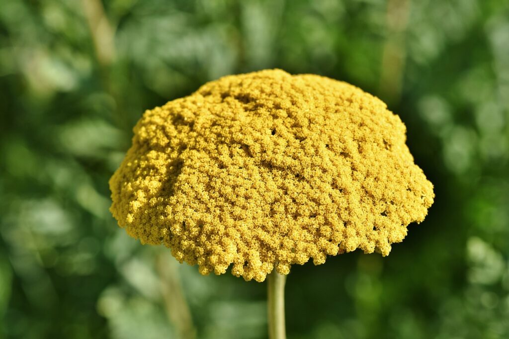 バツイチで高年収の方が恋活を成功させるためのポイントは？