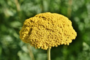 バツイチで高年収の方が恋活を成功させるためのポイントは？