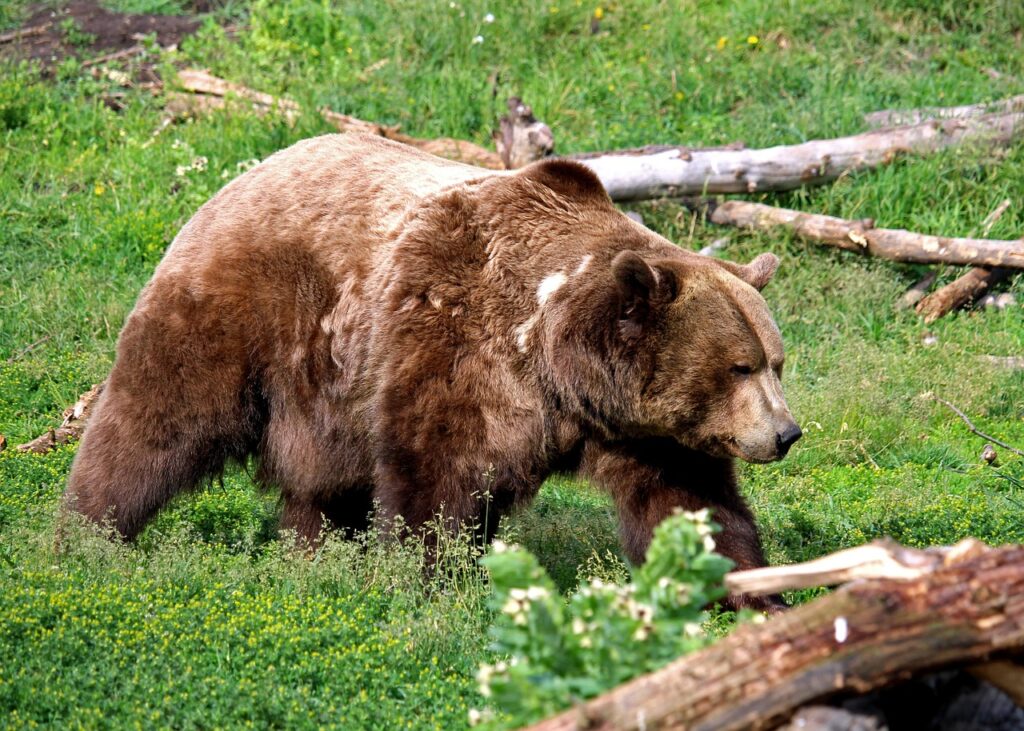 ハイスペ女性との出会いを成功させるためのポイントは？