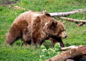 ハイスペ女性との出会いを成功させるためのポイントは？