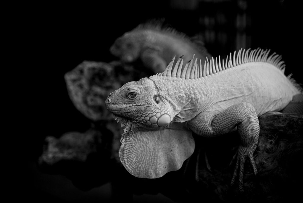 医師と出会える場所はどこですか？