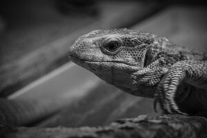 婚活アプリを利用して後悔しないためのポイントは？