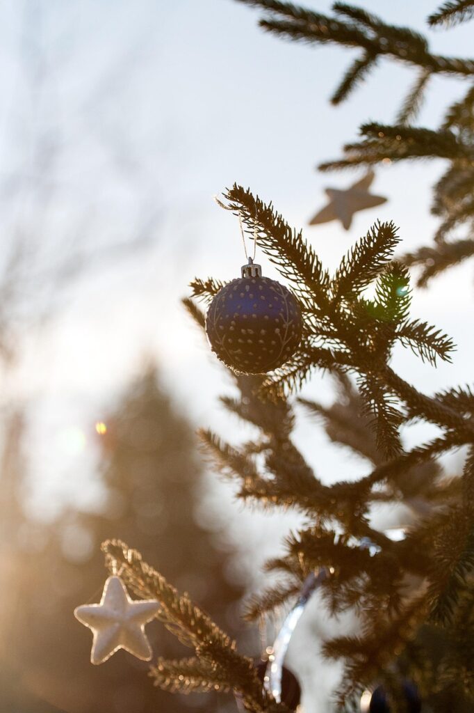 高年収限定のマッチングサービスはどのように利用すれば良いですか？