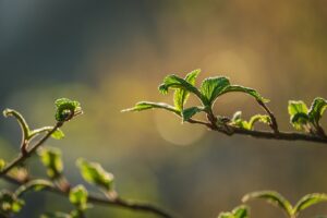 ハイスペ男性との恋活に最適な遊びの目的は？